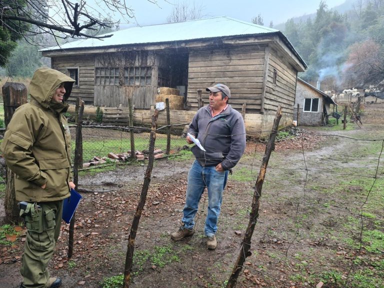Efectiva fiscalización de personal de Carabineros ante el delito de abigeato