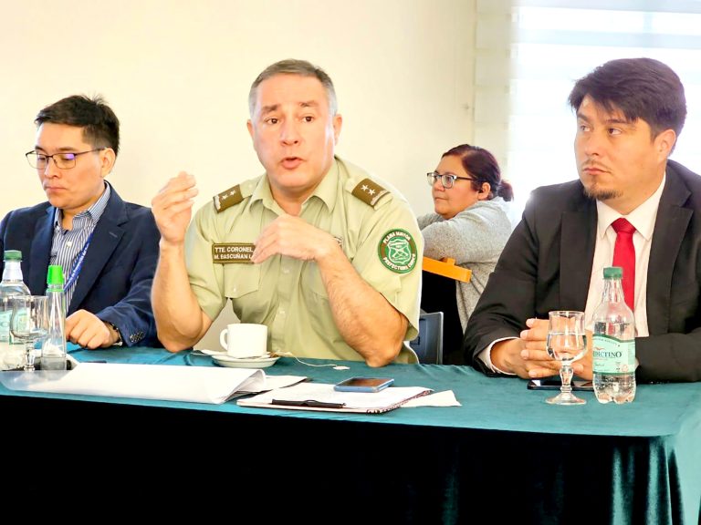 Un 13% bajaron delitos en la provincia de Curicó