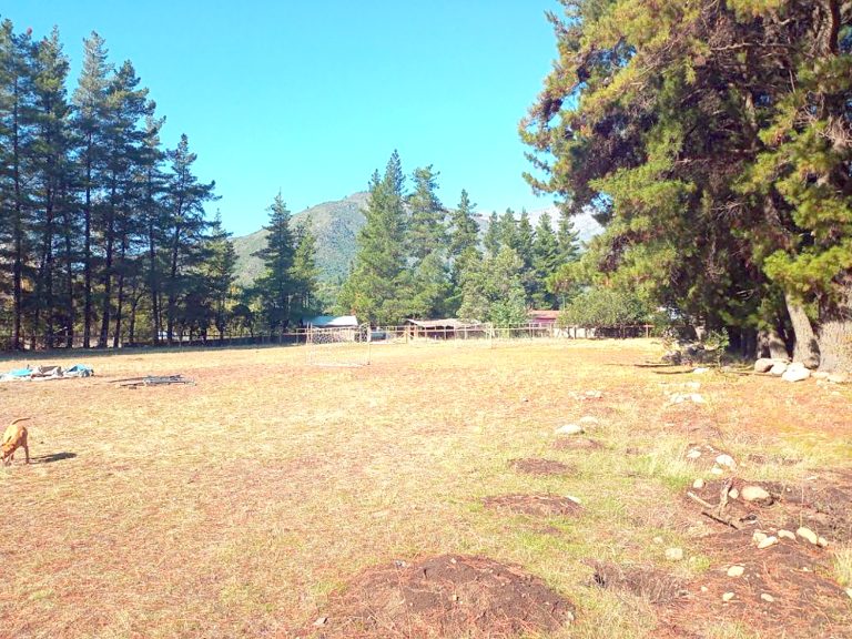 Municipio de Romeral está dispuesto a recuperar la cancha de Los Queñes