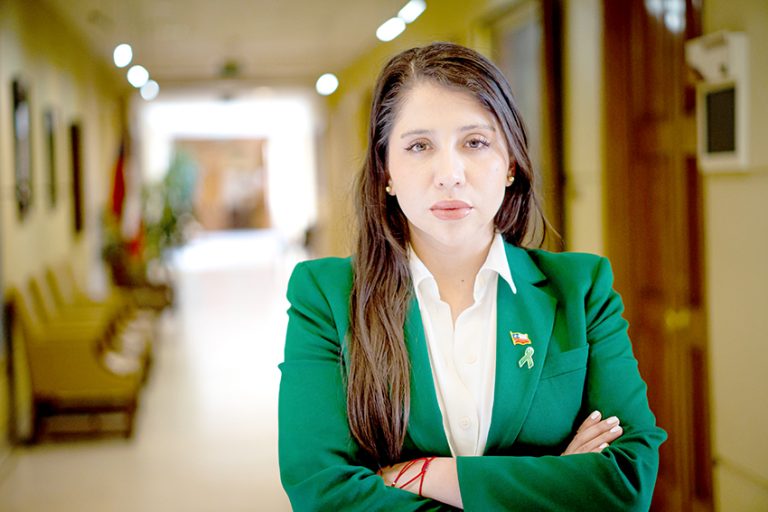 Diputada Consuelo Veloso advierte de eventuales irregularidades en Municipios de Longaví y Parral