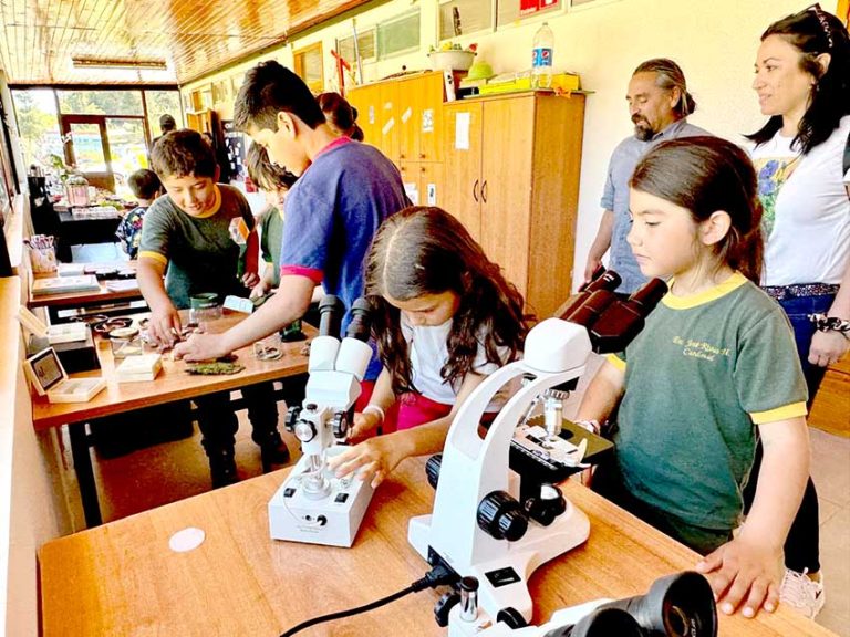 Laboratorio Ambiental Móvil recorrió escuelas de sectores rurales de Pelluhue