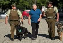 Carabineros invita a Caminata Canina Solidaria