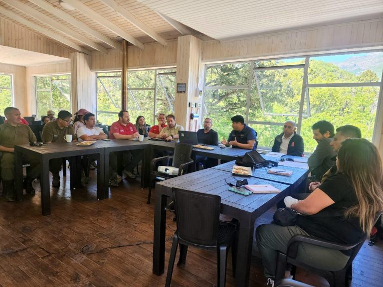 Realizan reunión de coordinación para un verano seguro en precordillera molinense