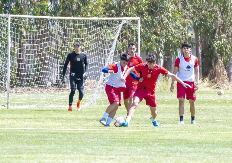 De vuelta a las prácticas