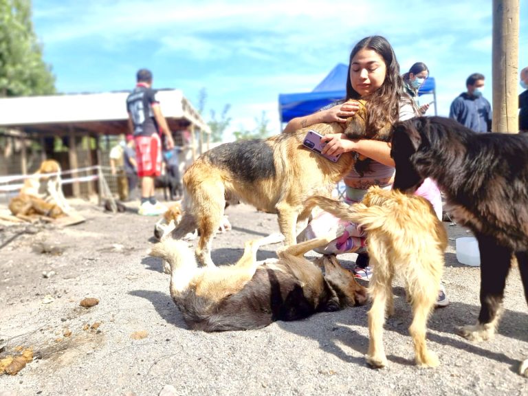 “La Municipalidad fue cómplice, es  tan cómplice como Susana (Padilla)”