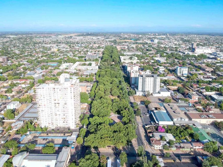Talca está dentro de las ciudades con  mayores niveles de pólenes alergizantes