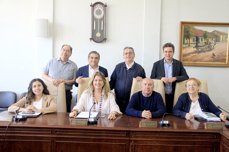 Concejo municipal aprobó licitaciones y aporte  al programa de pavimentación participativa