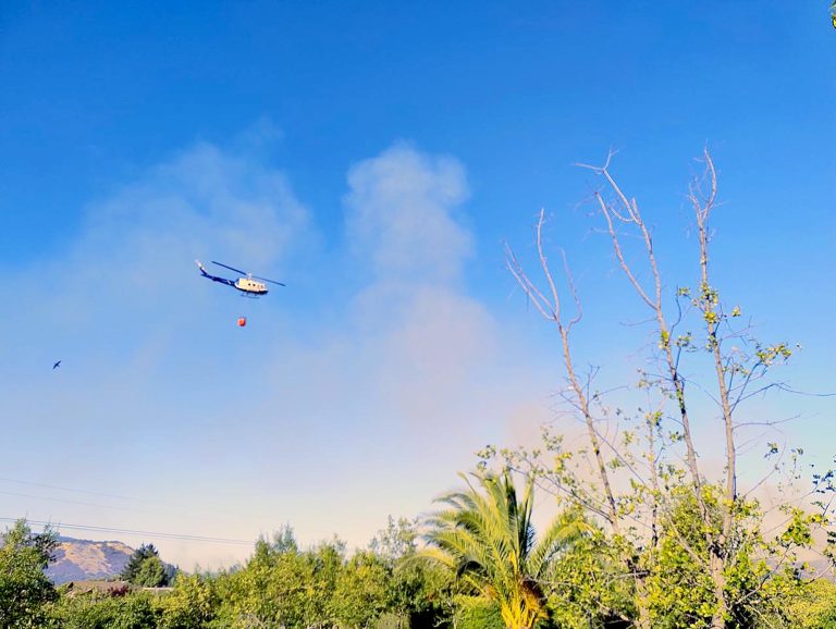 Preocupación por incendios forestales sucesivos en cerros habitados