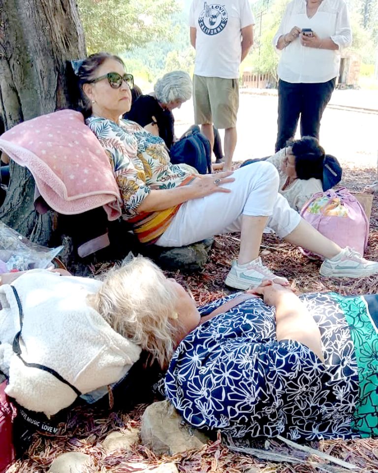Horas de angustia viven pasajeros del tren Ramal Talca-Constitución