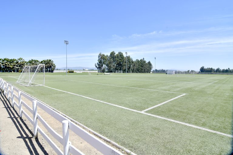 Hoy el curi vuelve a las prácticas