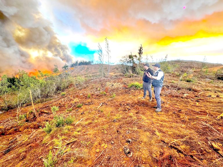 Llaman a redoblar la prevención  para evitar incendios forestales