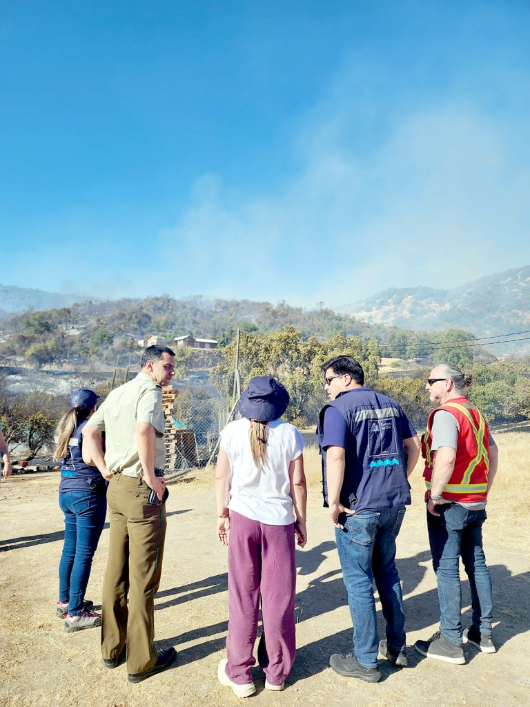 Incendio forestal amenazó a sectores poblados en Rauco