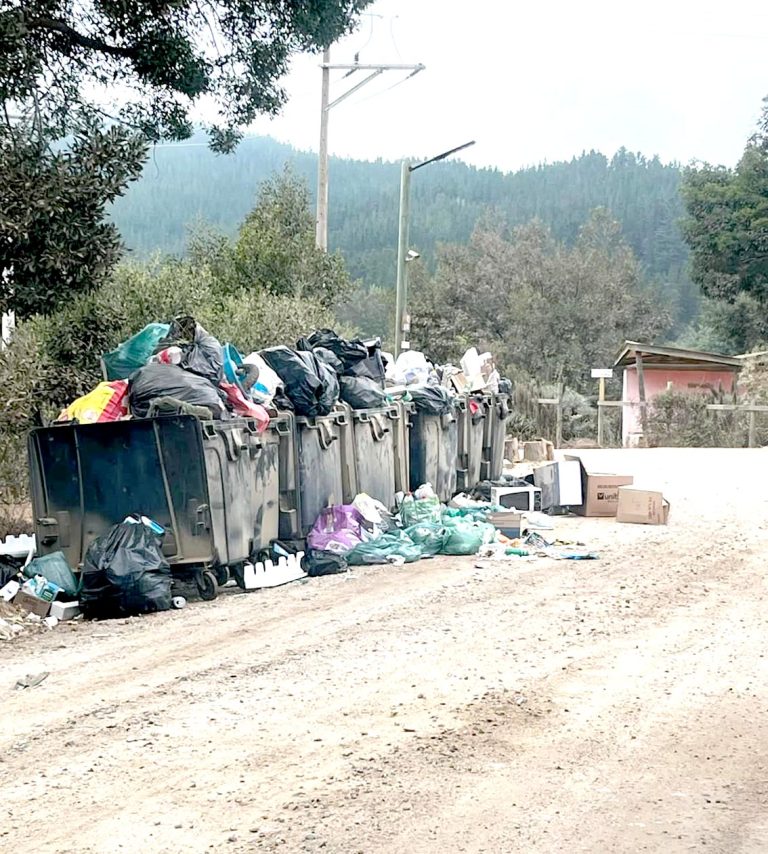 Apuntan a superar “crisis” ligada a la  recolección de residuos domiciliarios