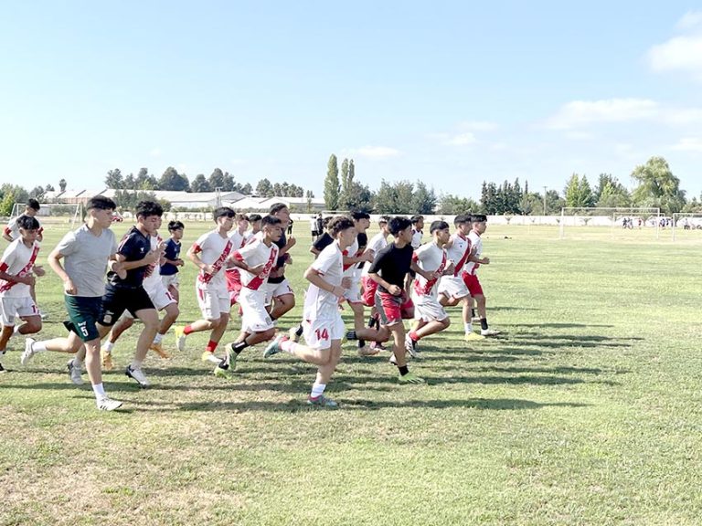 Series formativas en acción