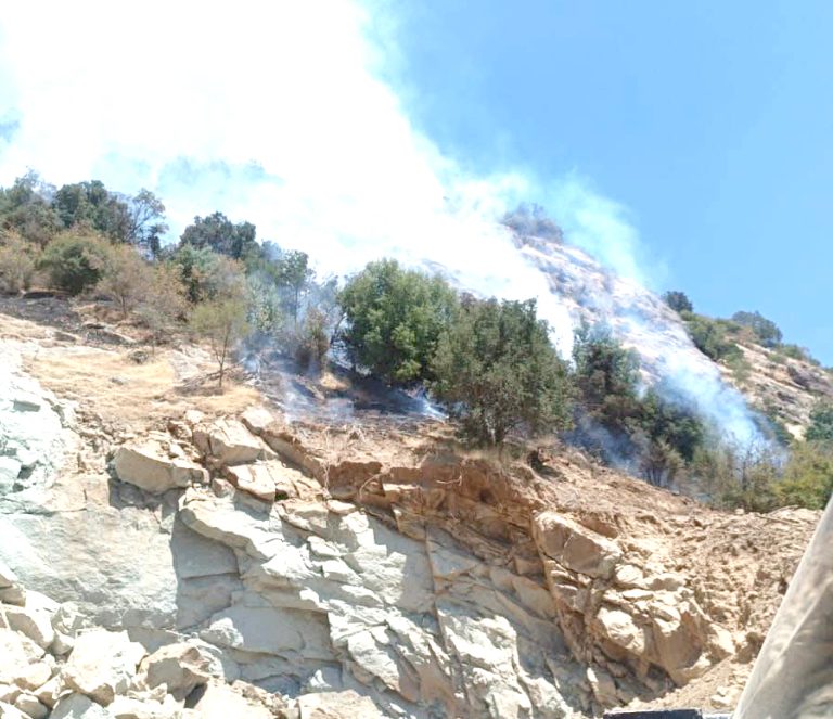 Detienen y formalizan a trabajador  de cantera por incendio forestal