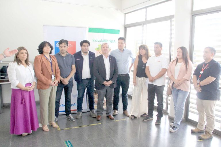 Programa EcoMercado Solidario  se implementará en Curicó