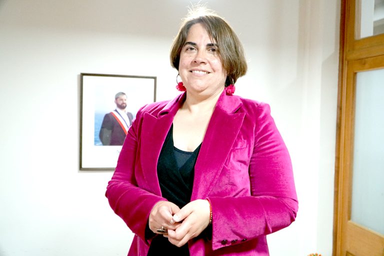 Sernameg prioriza el trabajo con niños y familias para prevenir situaciones de violencia