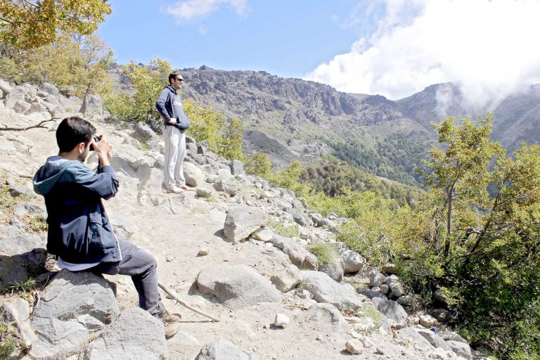 Región del Maule en riesgo extremo por  eventual ocurrencia de incendios forestales