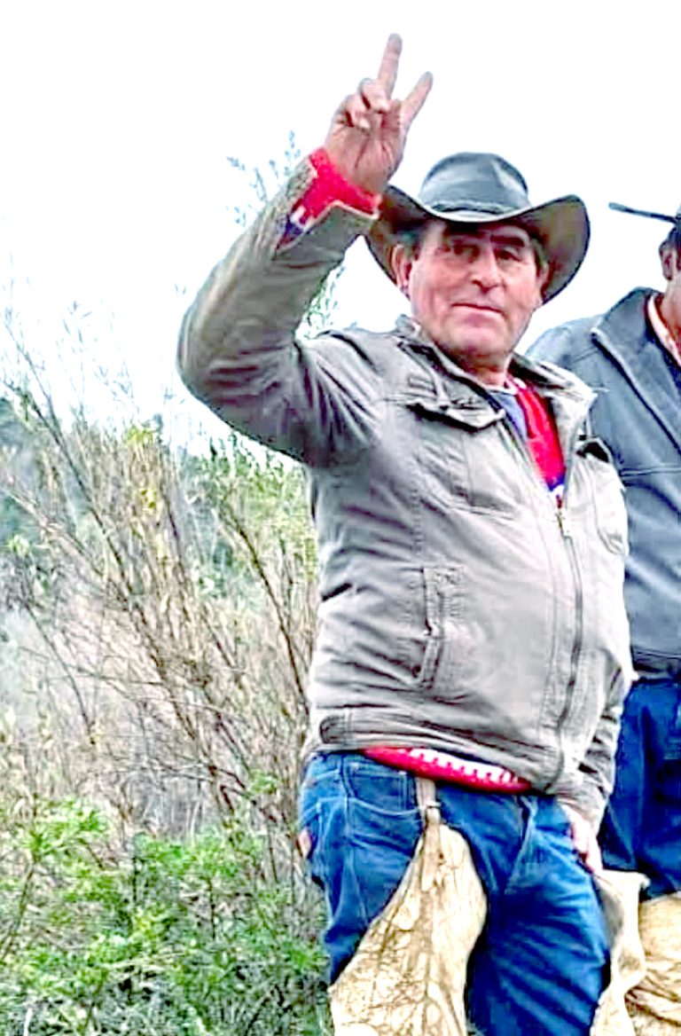 Grave permanece arriero accidentado en la precordillera de la comuna de Molina