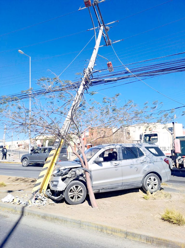 Maule es la cuarta región con mayor número de clientes afectados por cortes de energía debido a postes chocados