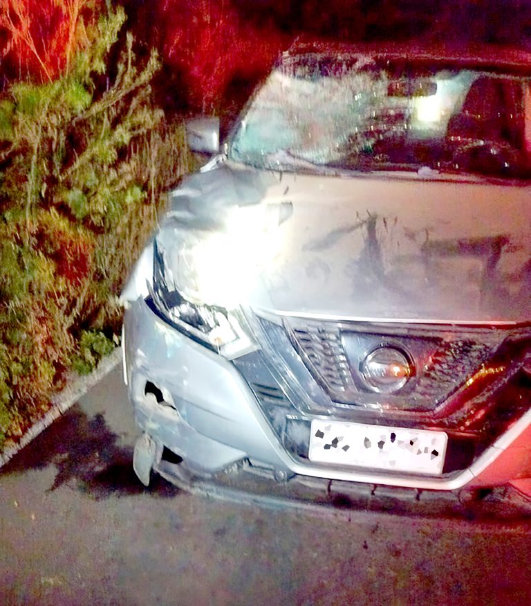 Conductora ebria y drogada atropelló fatalmente a ciclista