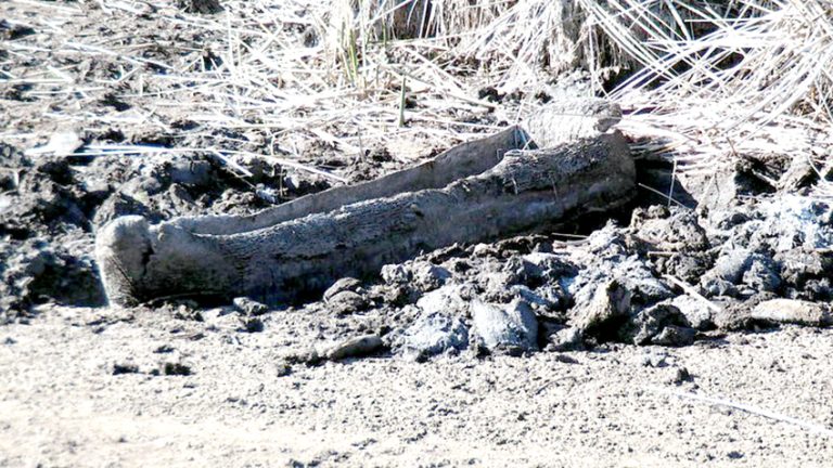 Piden que canoa mapuche encontrada en Laguna Torca el 2020 vuelva a la región