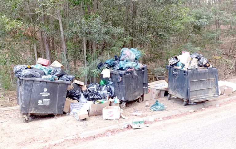 Concejal por acumulación de basura: “No se tomaron las medidas pertinentes con anticipación para prevenir”