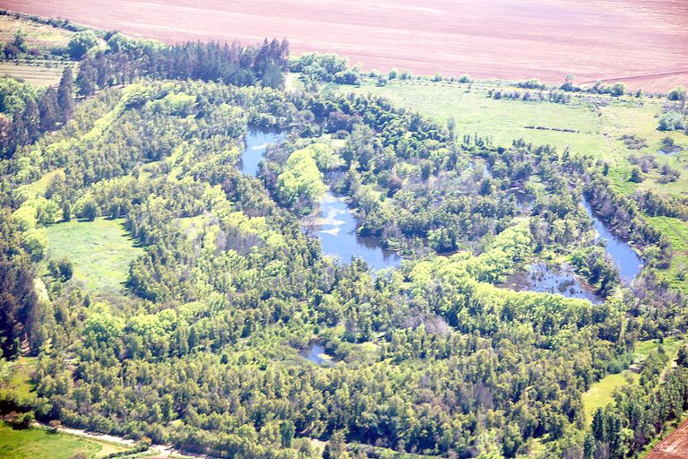 La historia del humedal artificial que se anticipó a la lucha contra el cambio climático
