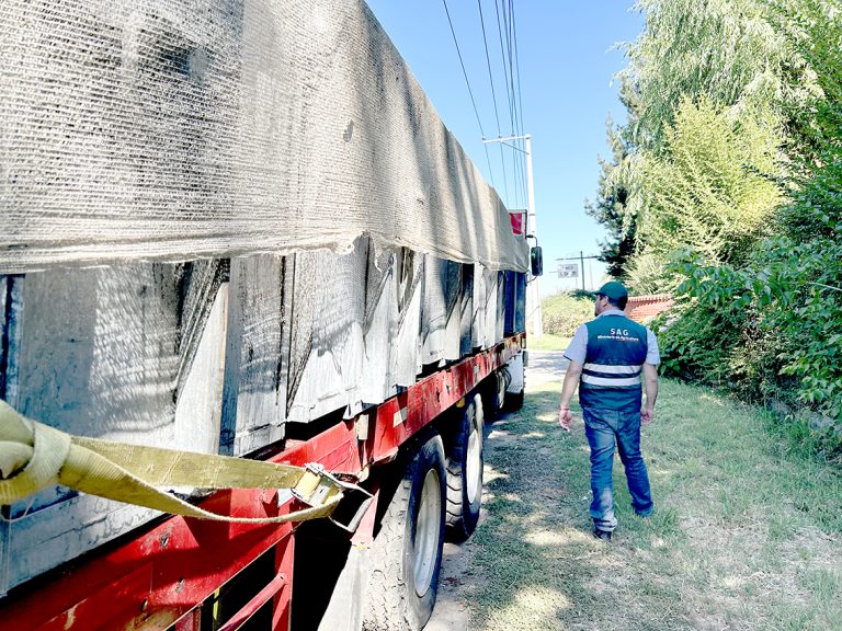 Autoridades supervisan transporte de uva en fiscalización carretera