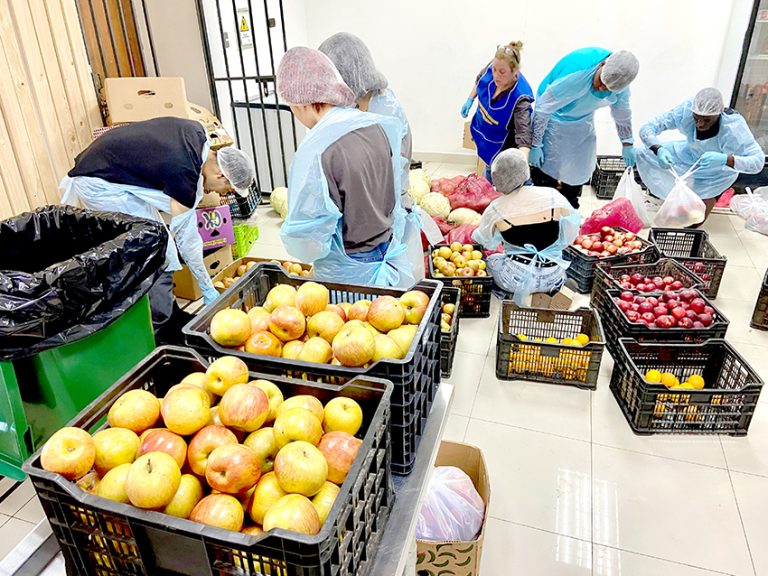 Acceso a una correcta y  balanceada alimentación