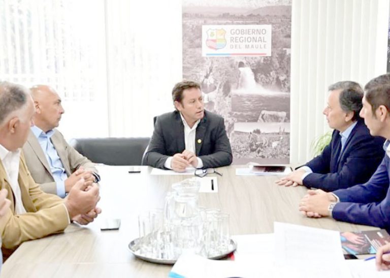 Agrícola Central y Dreams presentan Parque Ferial del Maule al gobernador regional