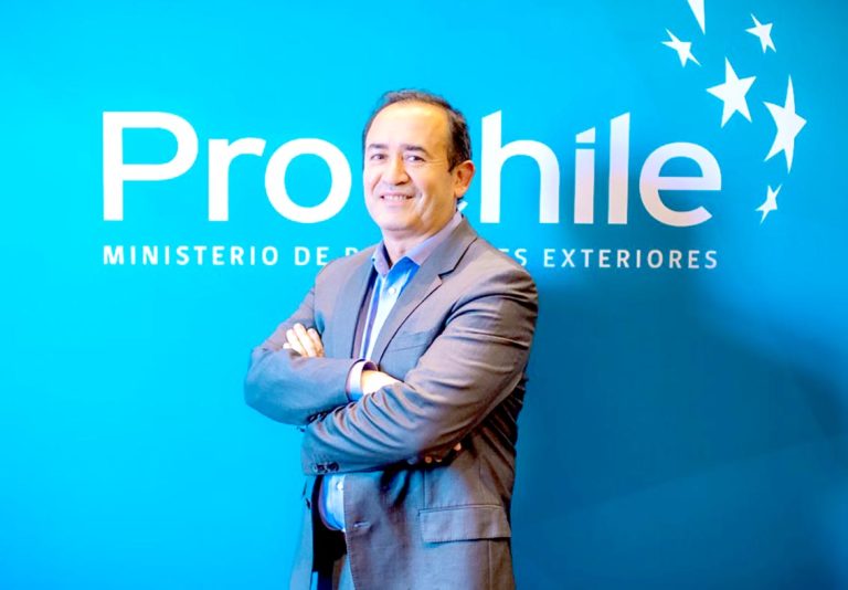 Maule exportó 153 millones de dólares en arándanos durante 2024: Alza de un 38%