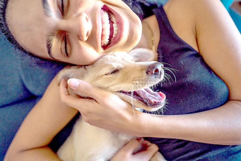 Amores que sanan: Mascotas generan efectos positivos en las personas