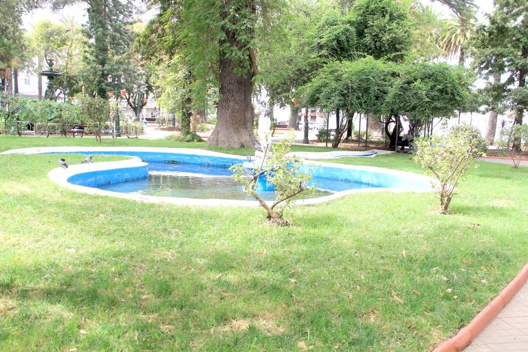 Municipio trabaja  en el mejoramiento de áreas verdes  en la Plaza de Armas
