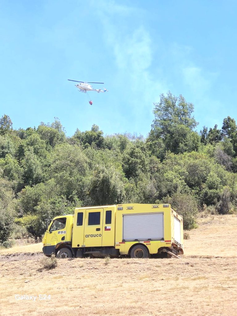 Positivo balance de incendios forestales en Curicó