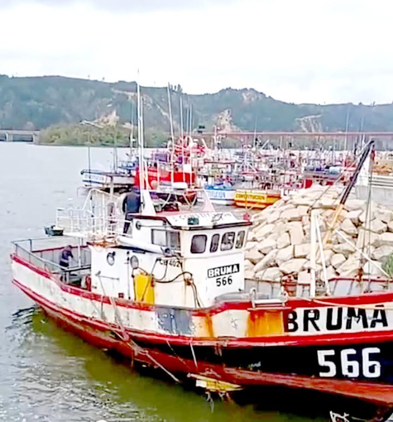 Sigue búsqueda de pescadores de Constitución desaparecidos en la Región del Biobío