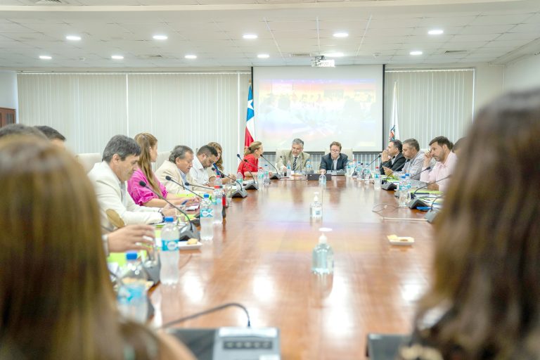 Provincias de Curicó y Talca logran casi el 70% de los millonarios recursos Subdere aprobados por el CORE