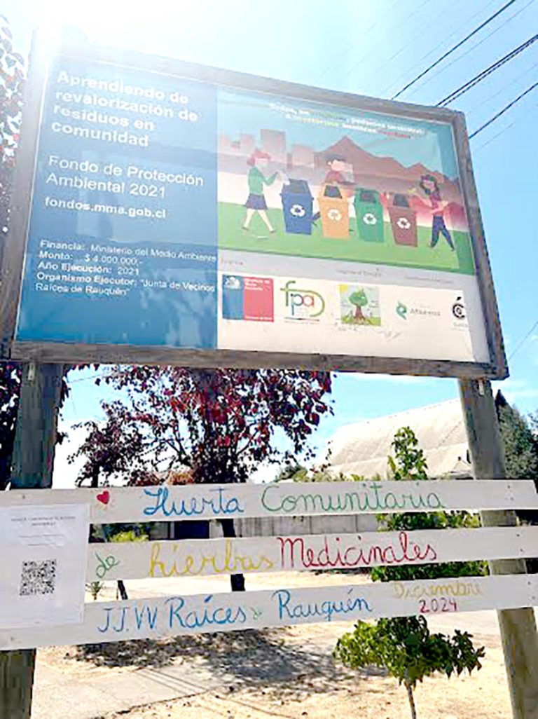 Fundación Afluentes y vecinos de Rauquén se unieron para mejorar espacios públicos