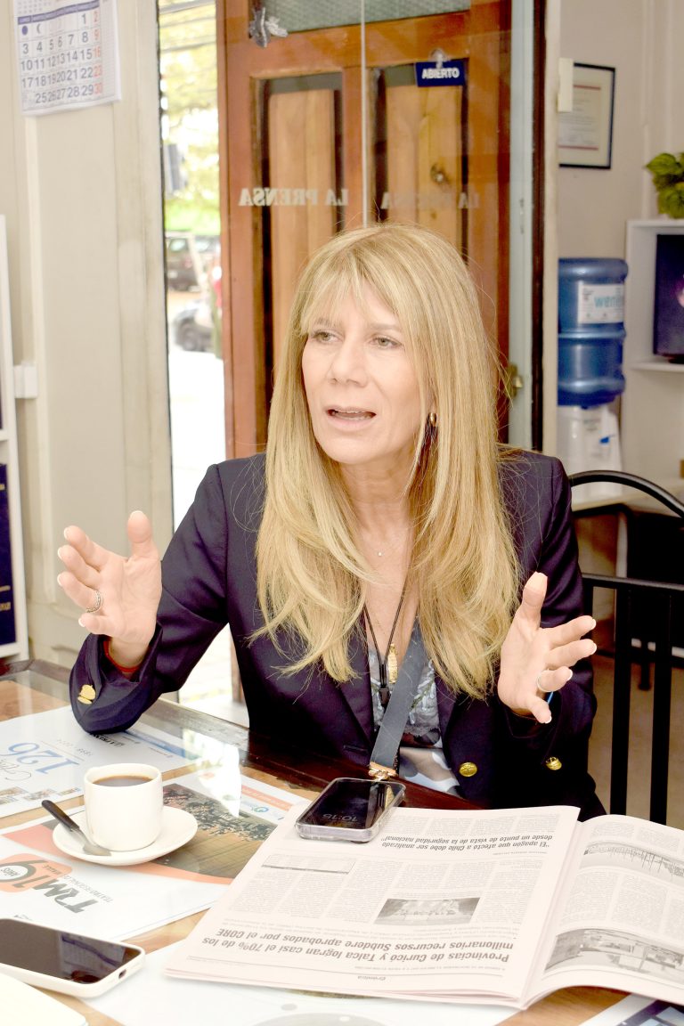 “No ha habido una  política pública desde  el Gobierno central que  mire con atención y  preocupación a la  agricultura maulina”