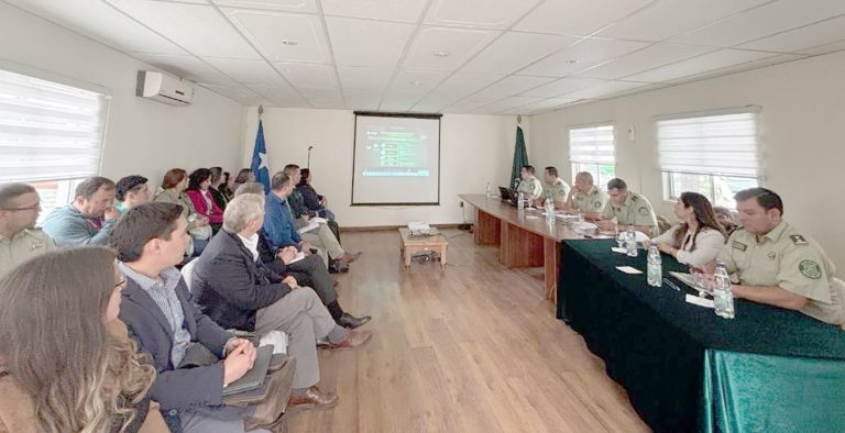 Casi tres denuncias de VIF se registran diariamente en la provincia de Curicó