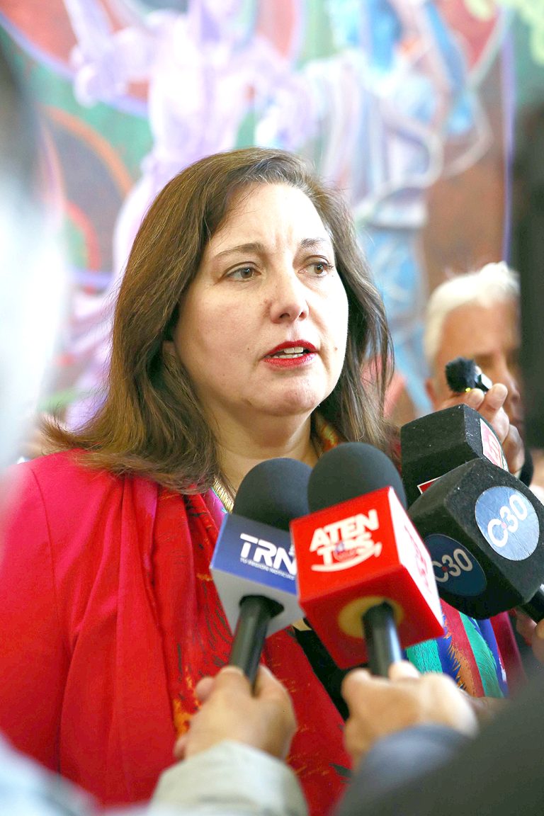 Senadora del Maule Paulina Vodanovic bajó su candidatura presidencial a las primarias