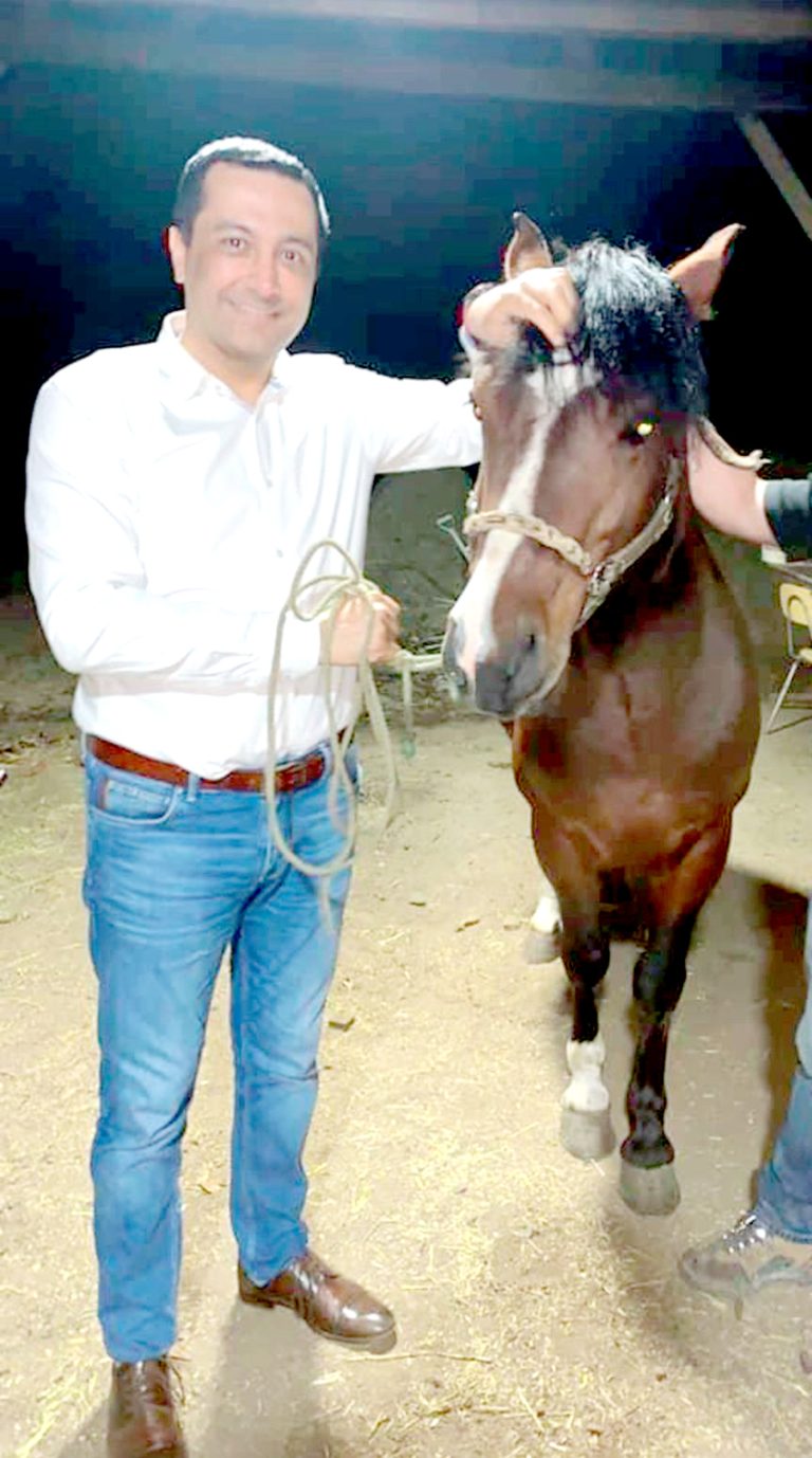 Consejero regional Alamiro Garrido enciende alarmas por brote de anemia infecciosa equina