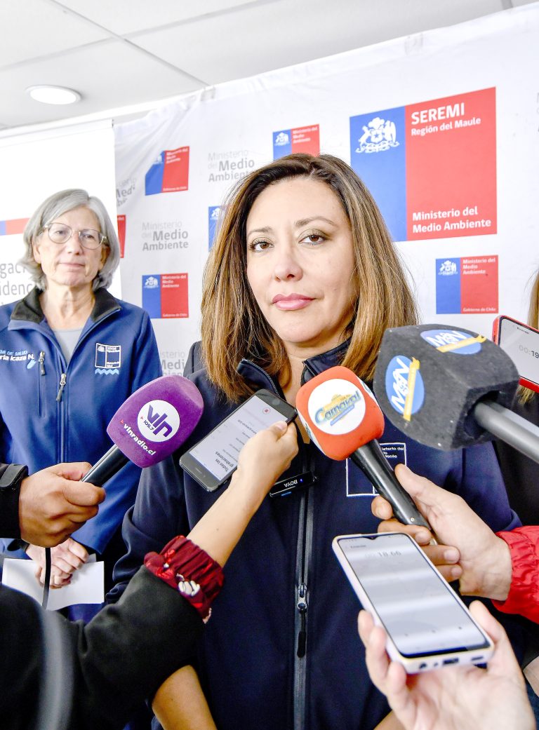 Autoridades buscan generar conciencia sobre el uso de una calefacción más sustentable
