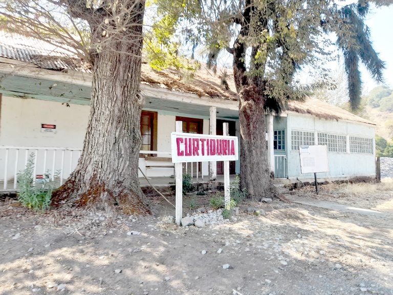 Reconstrucción de estaciones: una tarea pendiente para potenciar el ramal  Talca-Constitución