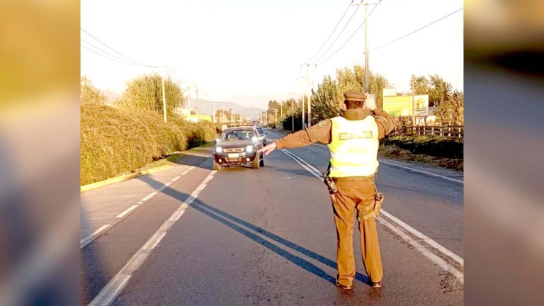 Trasportaban mariscos y  Pescados sin autorización