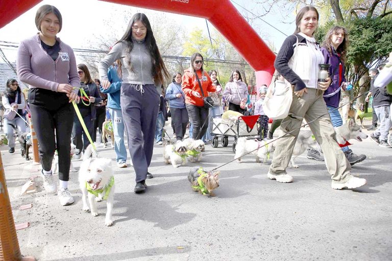 Más de 100 perros y sus familias  participaron en la caminata por el 98º Aniversario de Carabineros de Chile