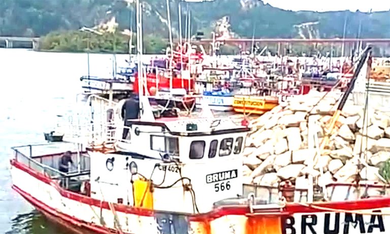 Confirman colisión en el  siniestro de la lancha Bruma