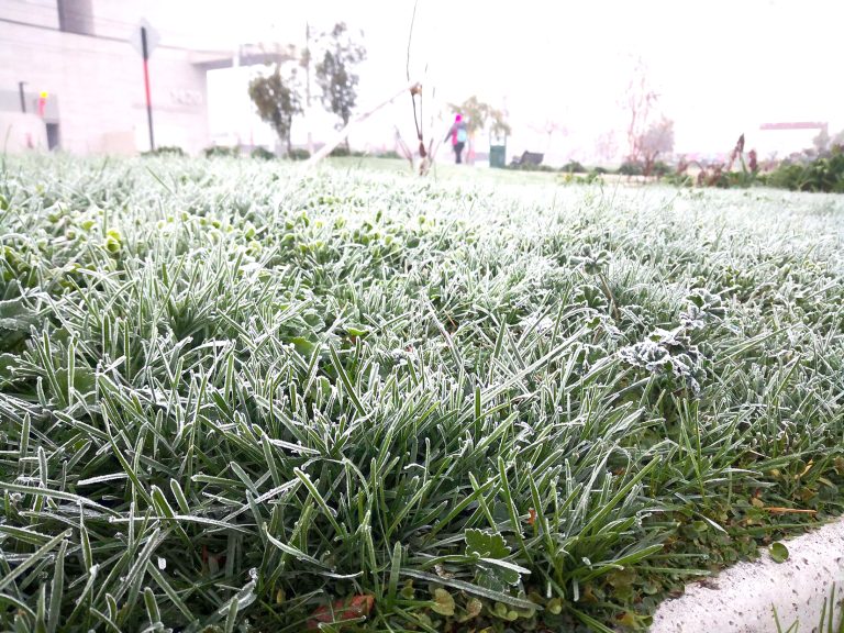 Frío extremo en el Maule: anuncian hasta 4 grados bajo cero y emiten advertencia para agricultores