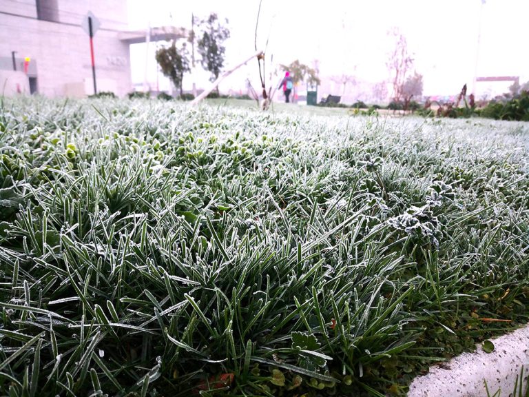 Ayer fue el día más frío del otoño en la Región del Maule