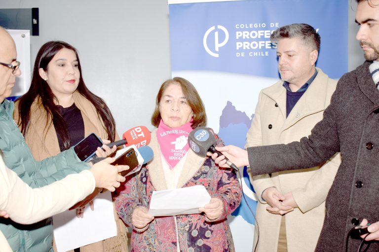 Profesores maulinos adhieren a paro nacional en reclamo por mejoras laborales